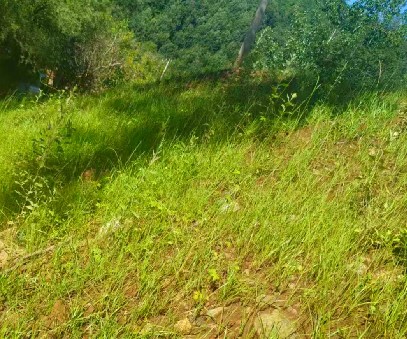 柳關欒盧鉛鋅礦|治理排土“瘡疤”，繪就綠色畫卷